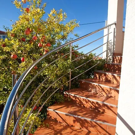 Apartments Guc Preko Exterior photo